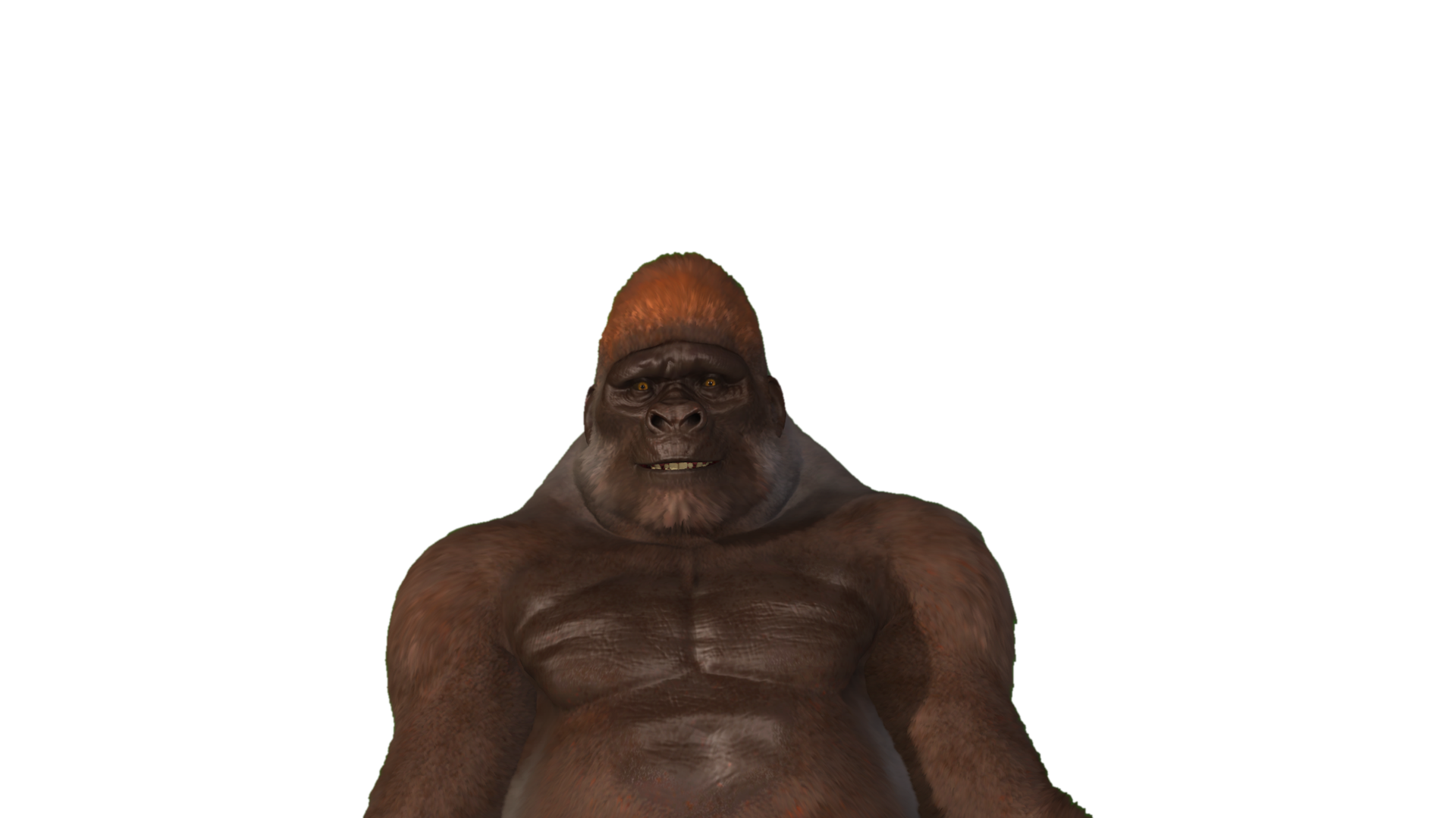 Brutus The Gorilla