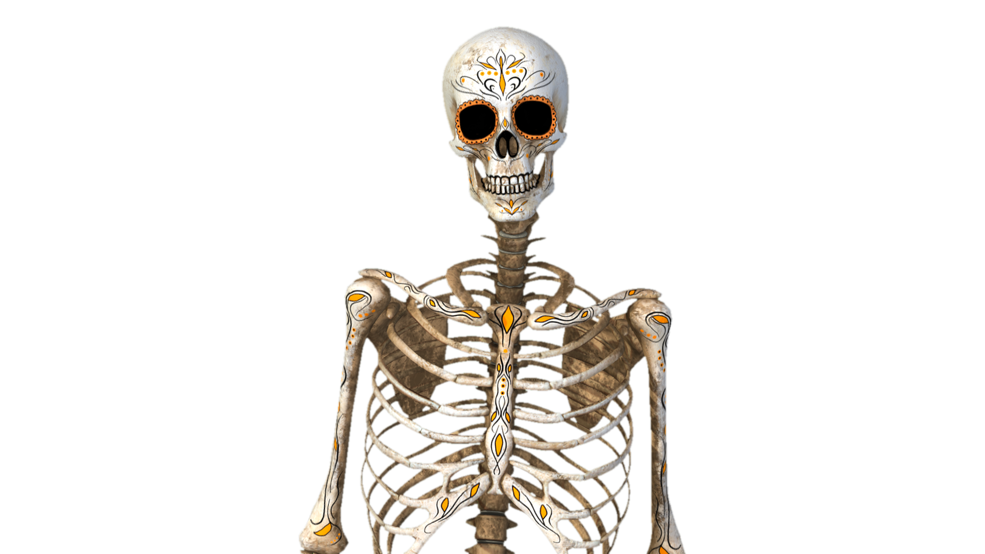 Skeleton