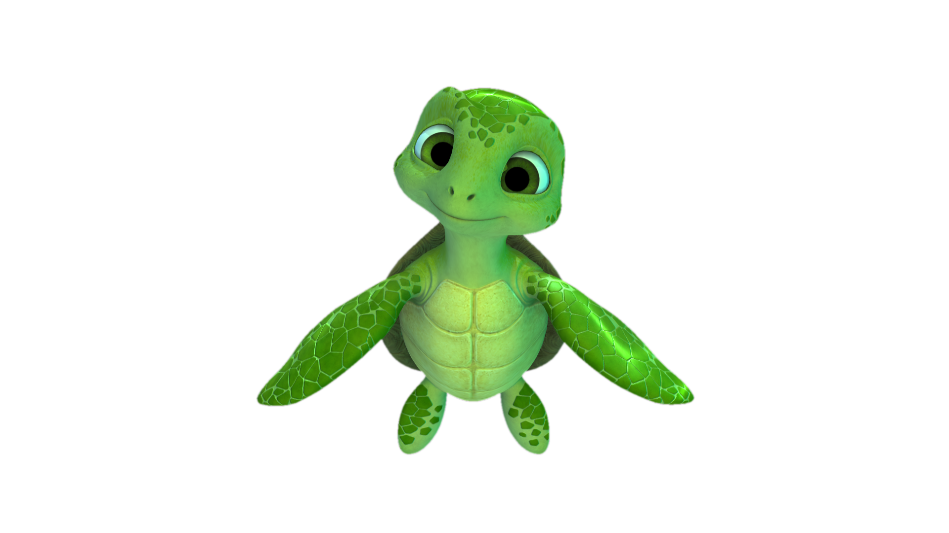 Timo The Turtle
