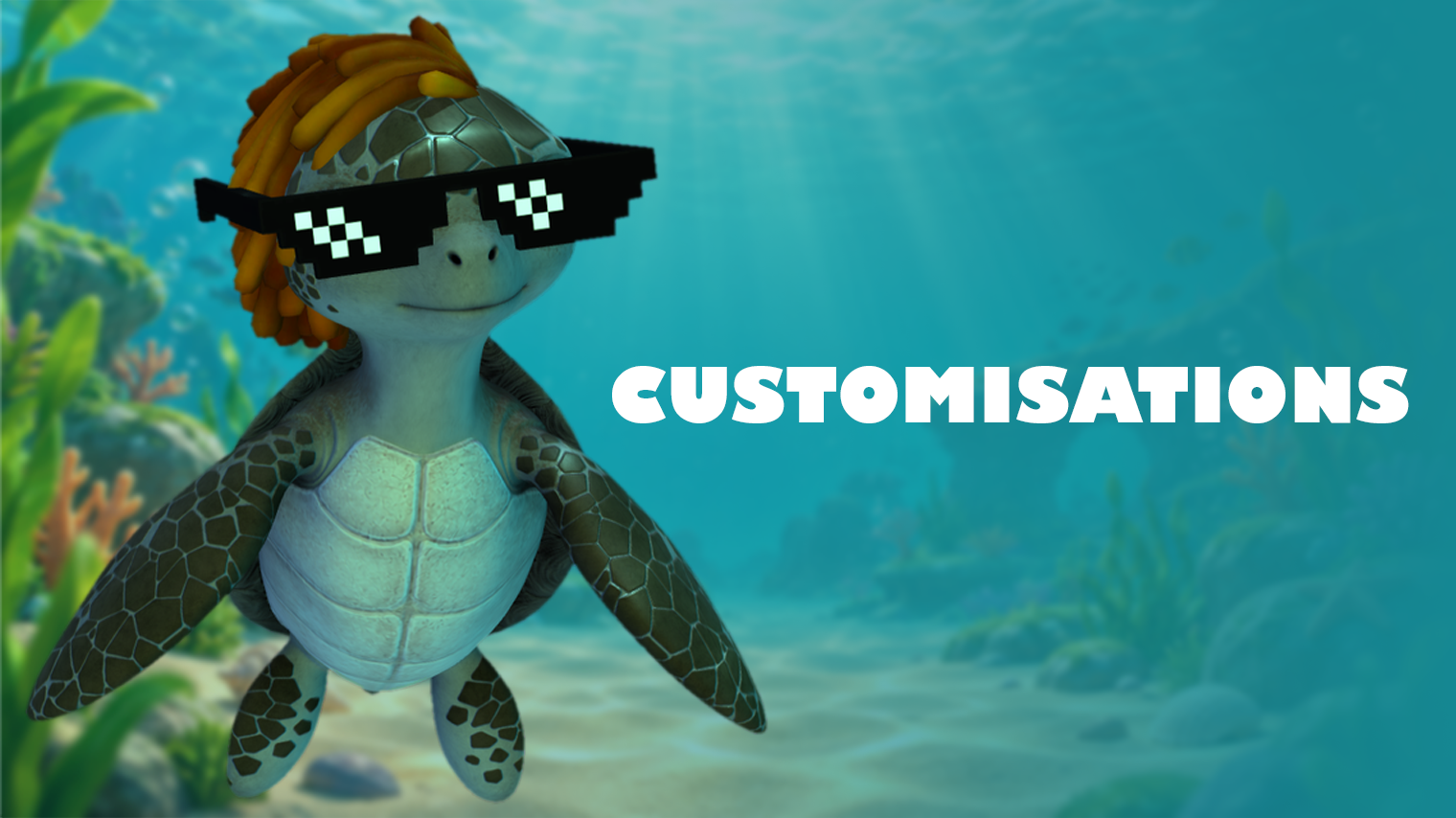 Timo The Turtle gallery
